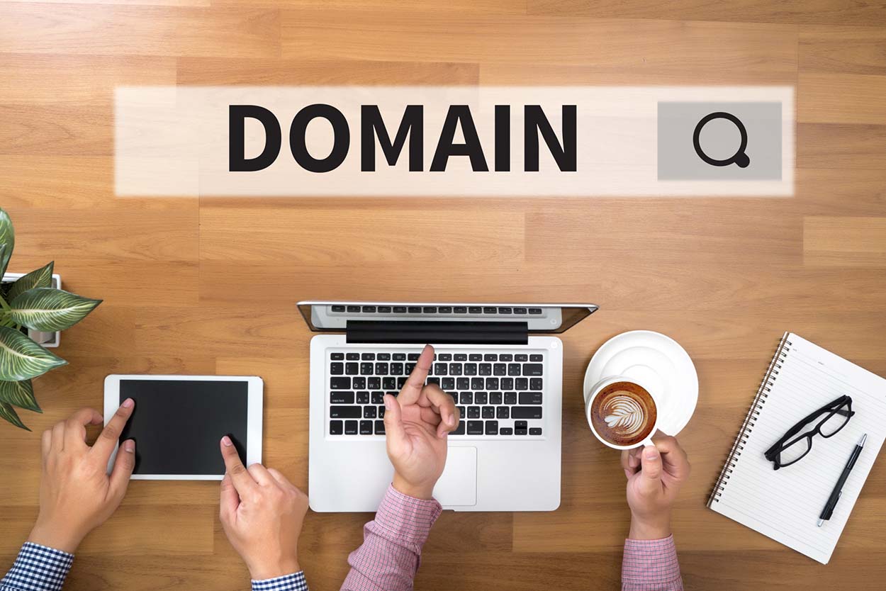 searching for a domain nz