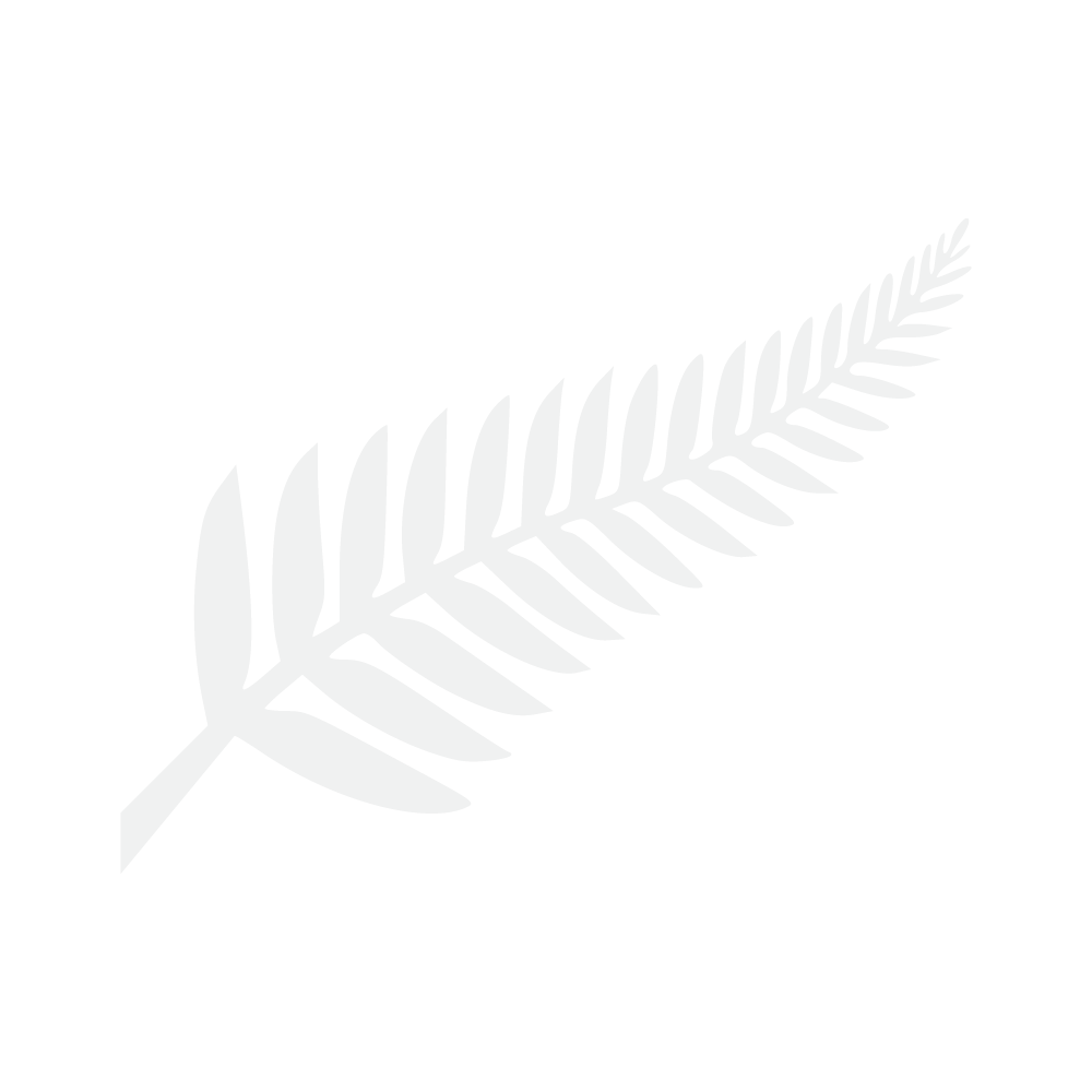 nz silver fern graphic