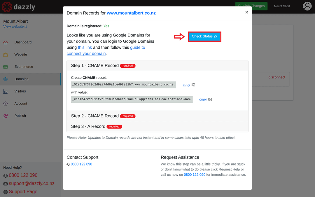 screenshot showing 'check status' button to check domain status