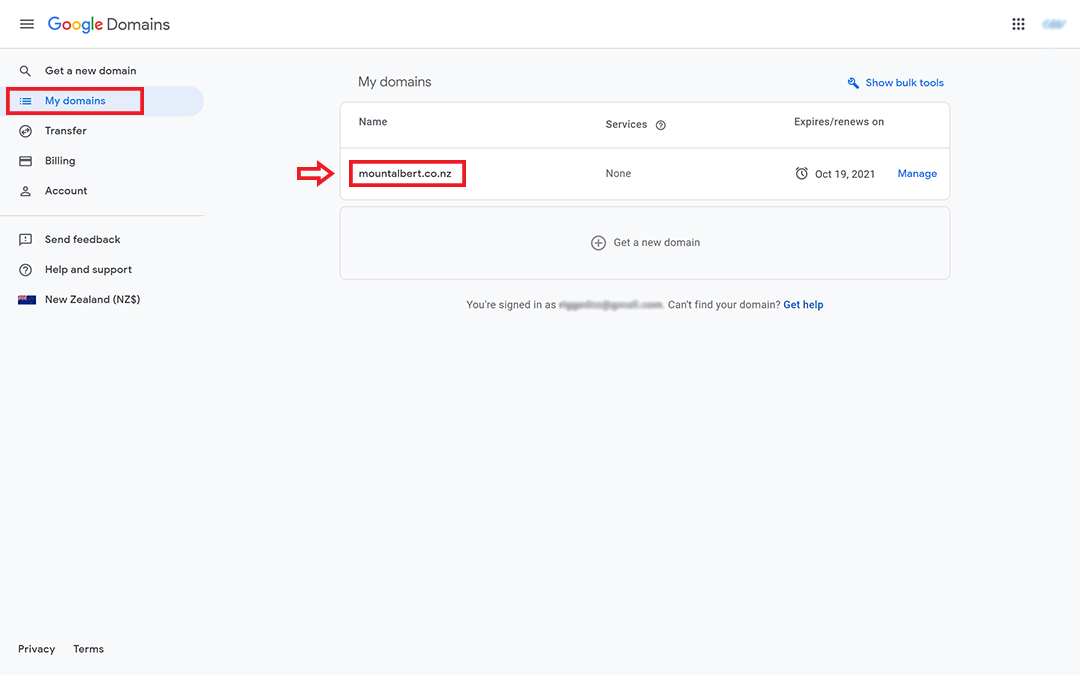 screenshot of google domains management page
