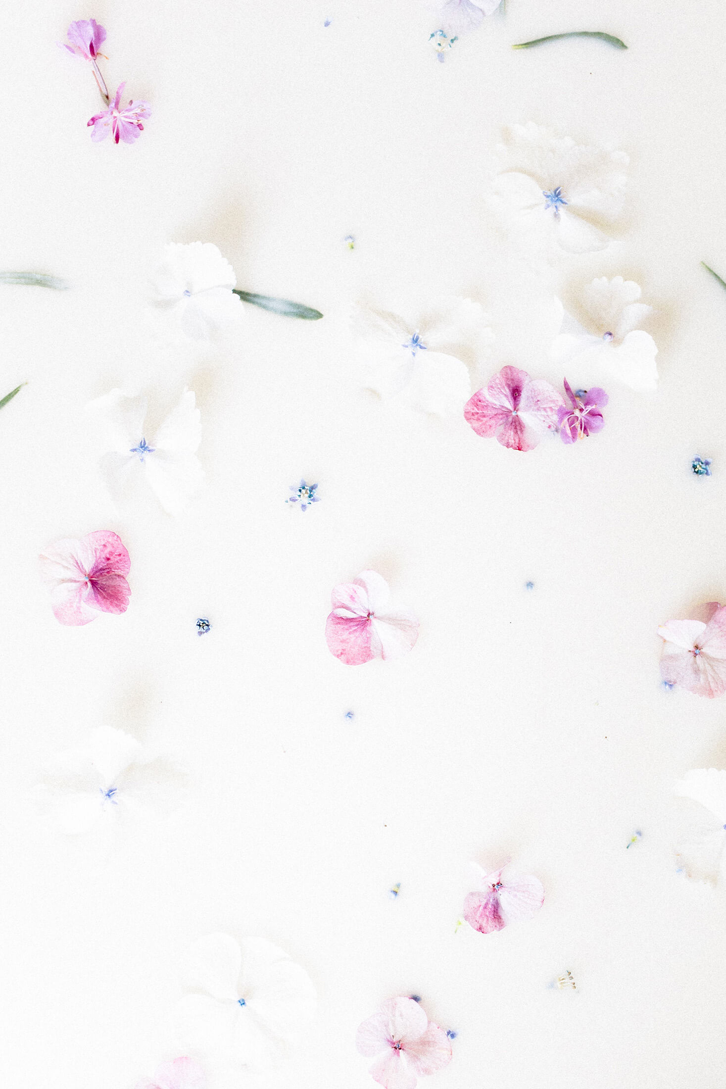 free website builders flowers