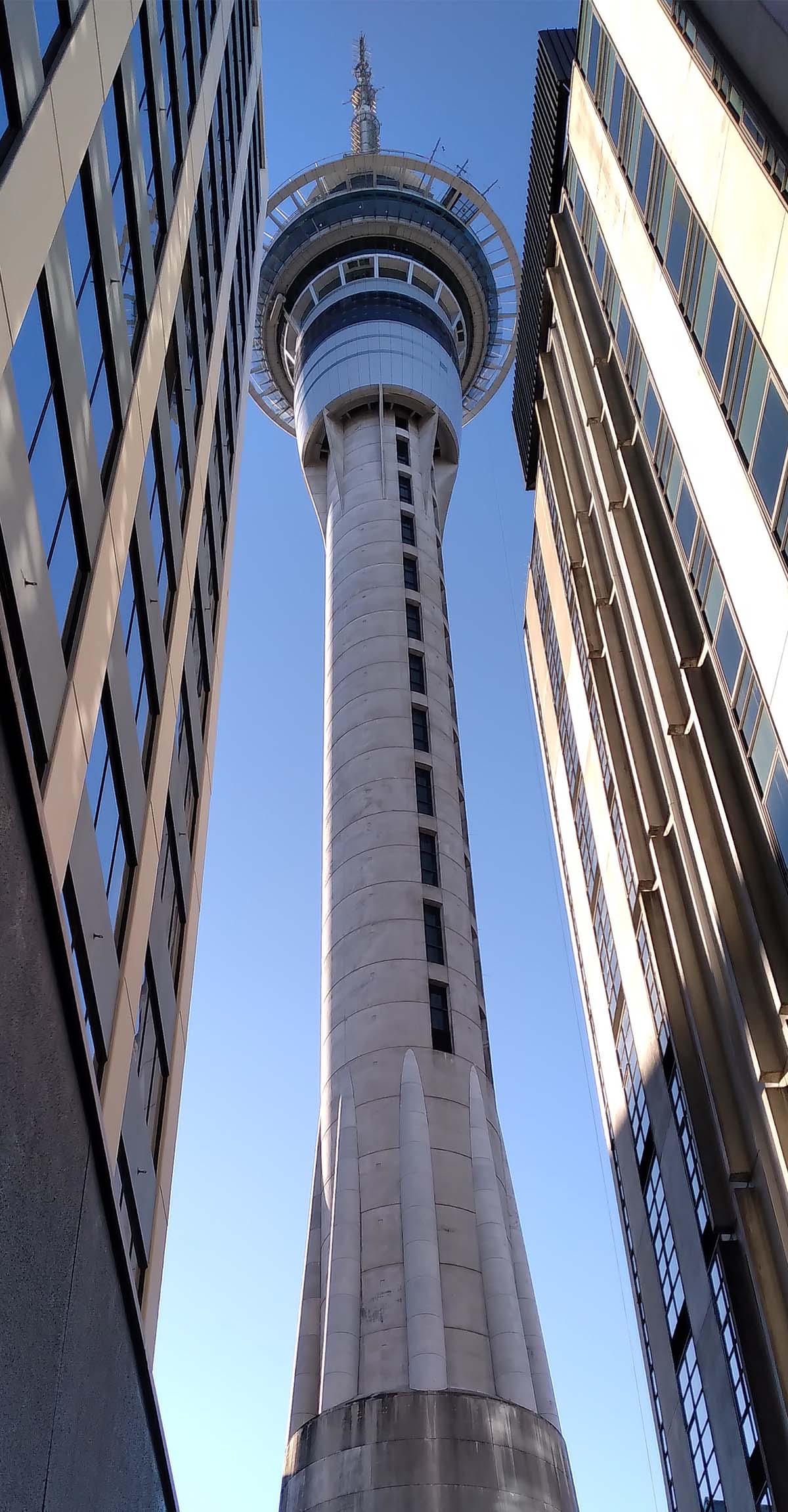the skytower in auckland
