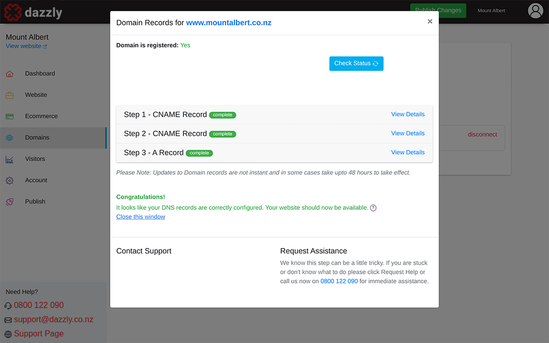 screenshot showing all 3 DNS record steps complete